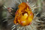 photo thumbnail #5