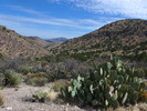 photo thumbnail #3