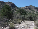photo thumbnail #4