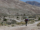 photo thumbnail #6