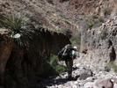 photo thumbnail #10