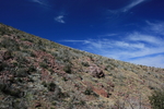 photo thumbnail #9
