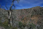 photo thumbnail #14
