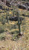 photo thumbnail #6