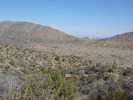 photo thumbnail #11
