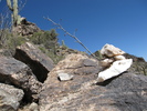 photo thumbnail #3