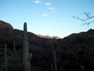 photo thumbnail #13