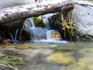 photo thumbnail #12