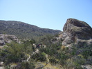 photo thumbnail #3