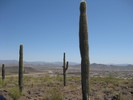 photo thumbnail #6