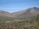 photo thumbnail #1