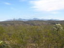 photo thumbnail #3