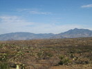 photo thumbnail #5