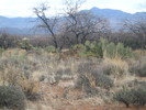 photo thumbnail #7