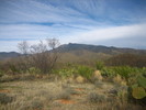 photo thumbnail #8