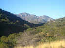 photo thumbnail #13