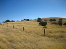 photo thumbnail #14