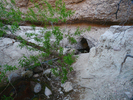 photo thumbnail #6