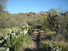 photo thumbnail #4