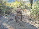 photo thumbnail #8