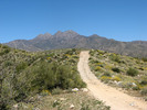 photo thumbnail #3