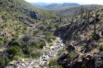 photo thumbnail #7