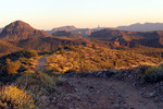 photo thumbnail #13