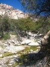 photo thumbnail #5