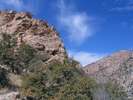 photo thumbnail #5