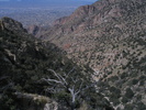 photo thumbnail #8