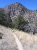 photo thumbnail #14