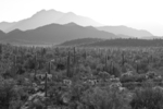 photo thumbnail #8