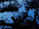 photo thumbnail #12