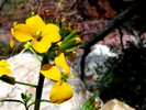 photo thumbnail #15