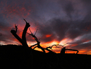 photo thumbnail #3