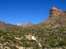 photo thumbnail #5