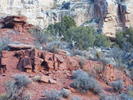 photo thumbnail #1