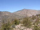photo thumbnail #6