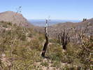 photo thumbnail #7