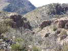 photo thumbnail #8