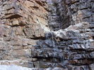 photo thumbnail #14