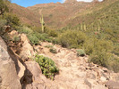 photo thumbnail #3