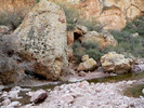 photo thumbnail #5
