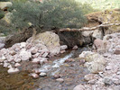 photo thumbnail #6