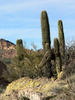 photo thumbnail #10
