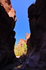 photo thumbnail #15