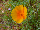 photo thumbnail #13