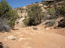 photo thumbnail #2