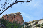 photo thumbnail #7