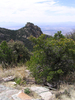 photo thumbnail #14